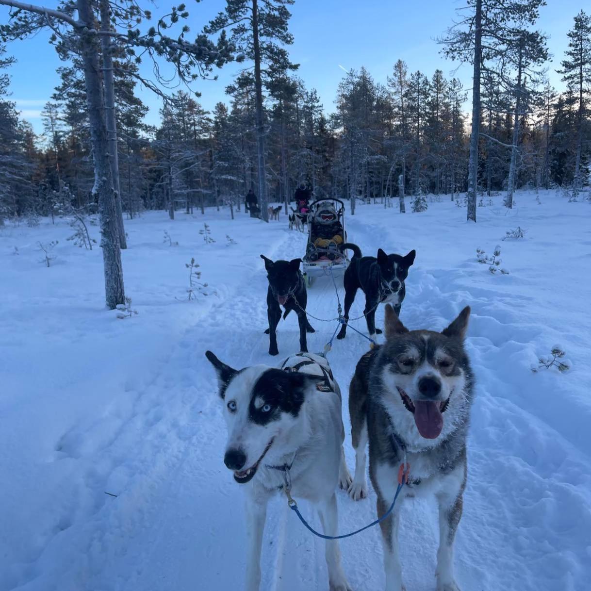 Saeterasen Hytter & Camping Trysil Buitenkant foto
