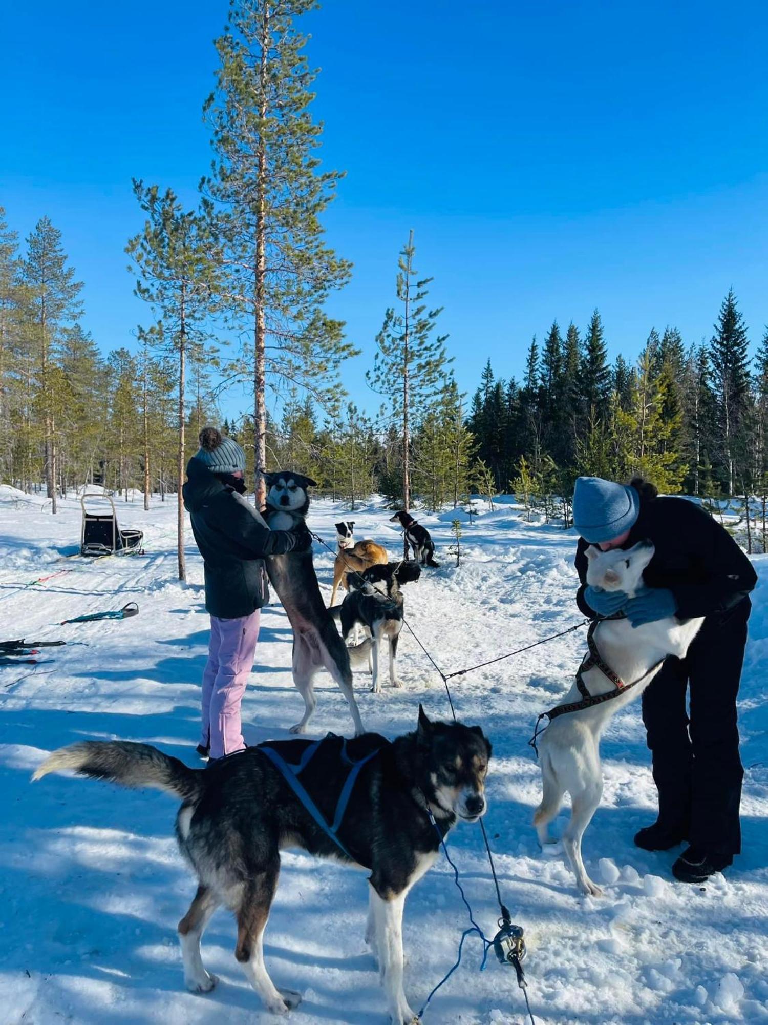 Saeterasen Hytter & Camping Trysil Buitenkant foto
