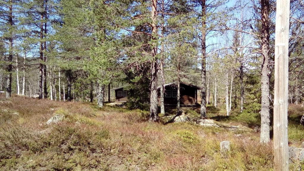 Saeterasen Hytter & Camping Trysil Buitenkant foto