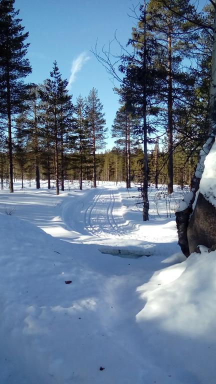 Saeterasen Hytter & Camping Trysil Buitenkant foto