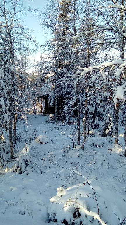 Saeterasen Hytter & Camping Trysil Buitenkant foto